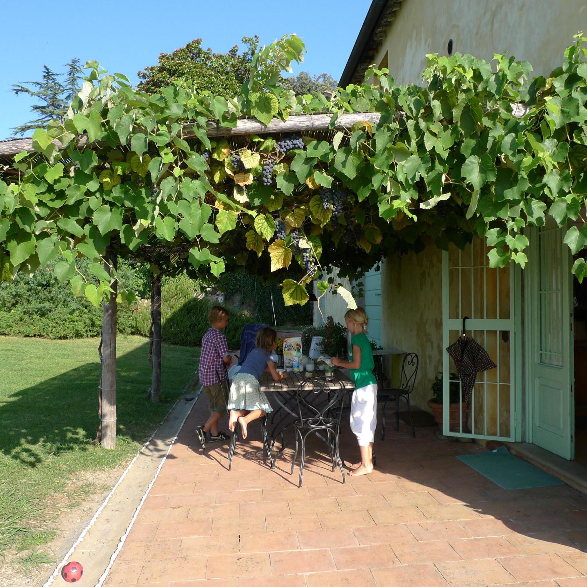 Azienda Agricola Fabbrica Di San Martino Лука Екстериор снимка