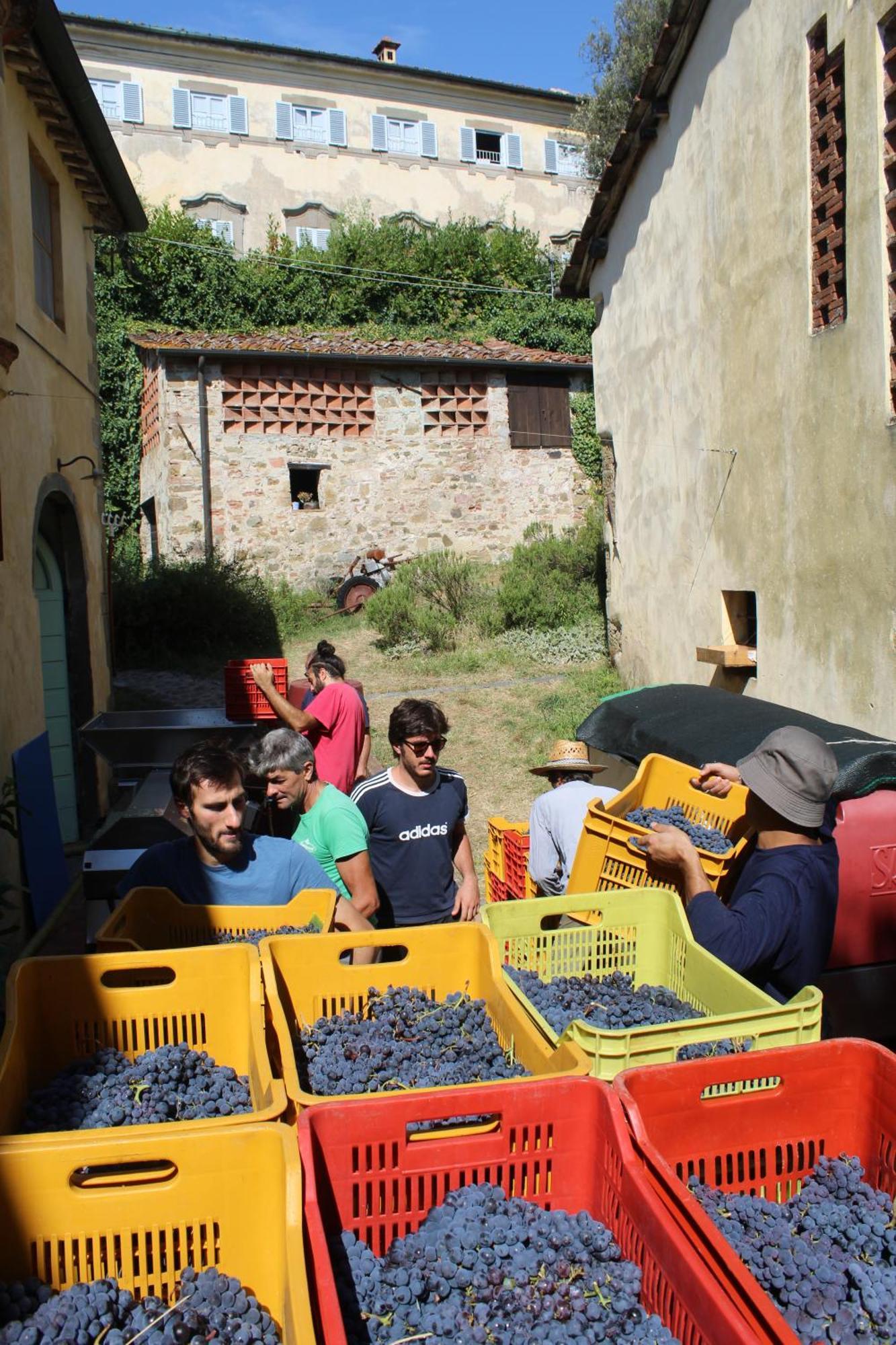 Azienda Agricola Fabbrica Di San Martino Лука Екстериор снимка