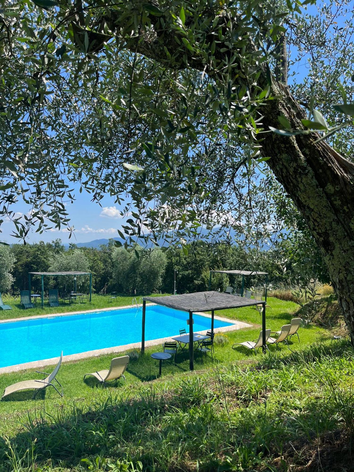Azienda Agricola Fabbrica Di San Martino Лука Екстериор снимка