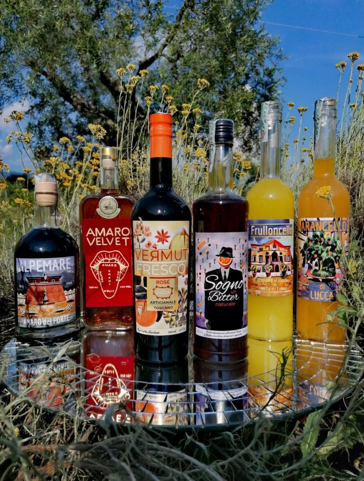 Azienda Agricola Fabbrica Di San Martino Лука Екстериор снимка